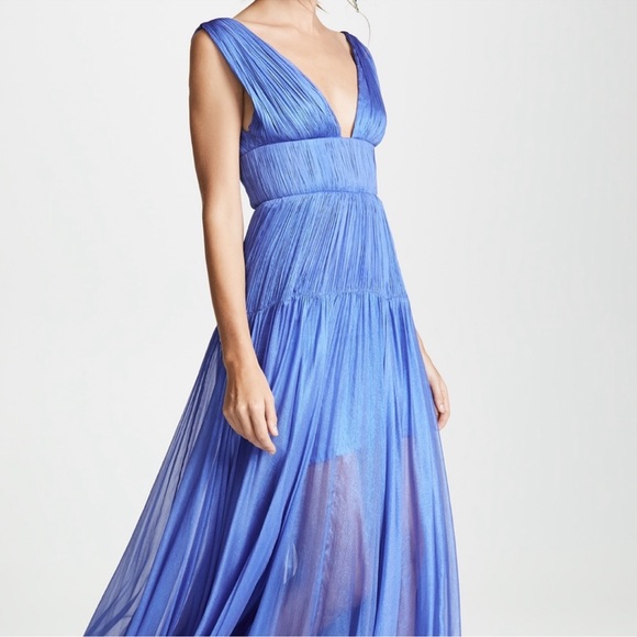 Maria Lucia Hohan | Rowen Maxi Dress, Amparo Blue, FR 34 - Picture 5 of 11
